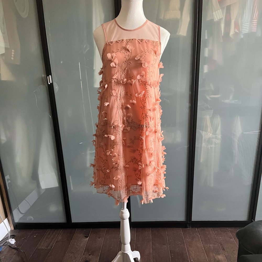 BCBGeneration Peach Mesh Dress